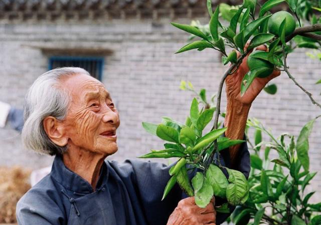 長(zhǎng)壽的人有哪些特點(diǎn)？年紀(jì)大了如何養(yǎng)生？