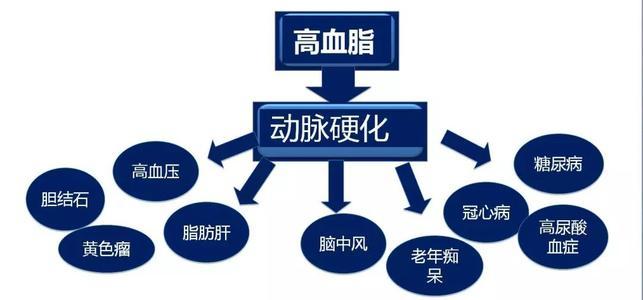 高血脂一般會產(chǎn)生什么樣的危害呢？高血脂有什么危害？